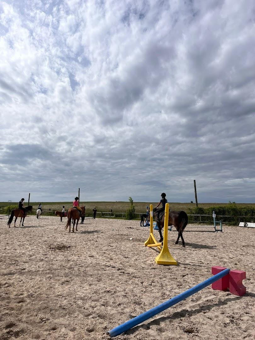 Ferme du soleil - Photo 2